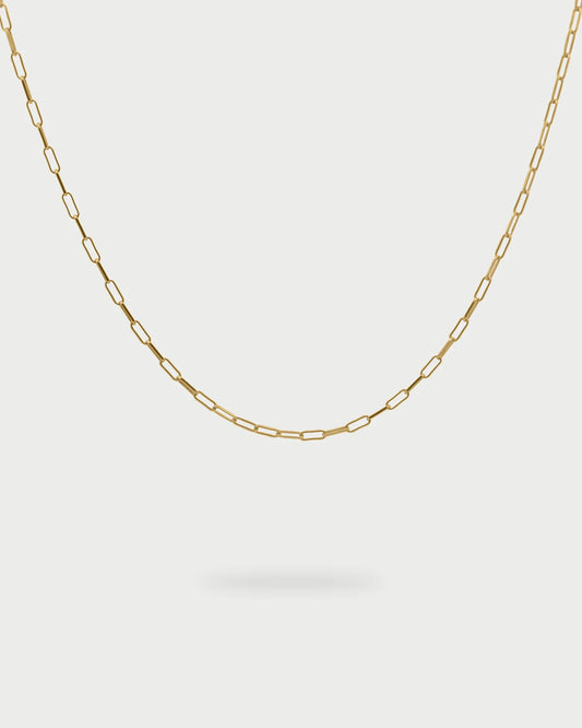 RUE DES MILLE - Girocollo Link chain Base
