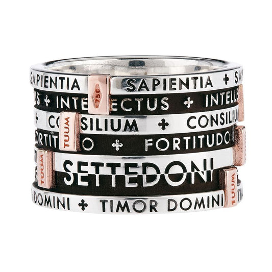 TUUM - 7 Gifts Ring in Silver and Rose Gold